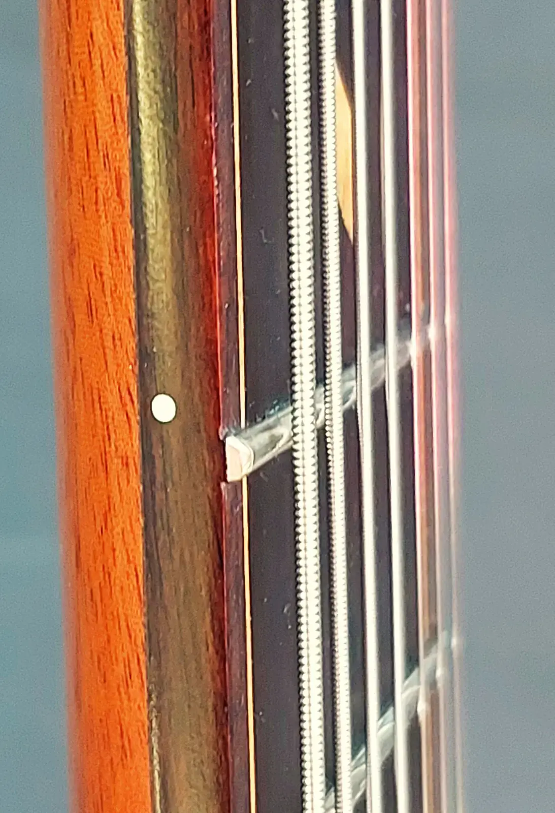 Nava Evell neck detail
